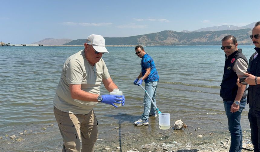 Tatvan'da Van Gölü'ndeki kirlilik ihbarları üzerine su numuneleri alındı