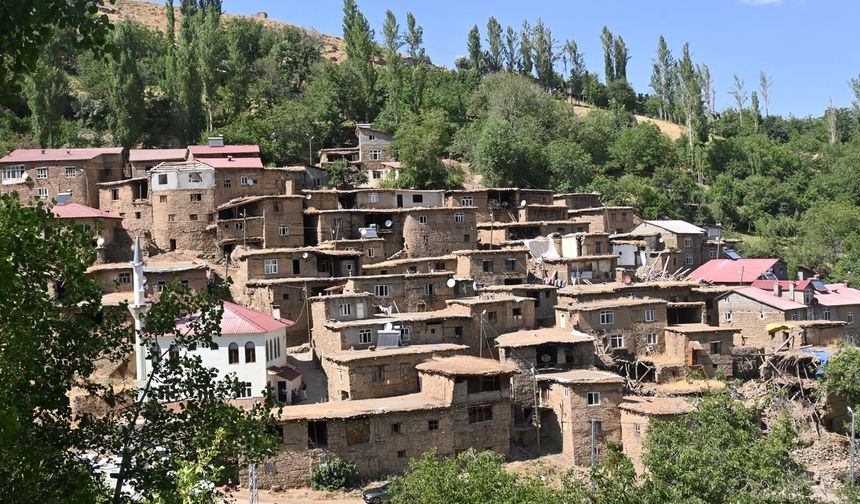 Hizan’daki taş evler fotoğraf karelerine yansıdı
