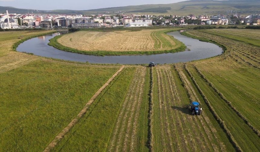 Ardahan'da hasat mesaisi havadan görüntülendi