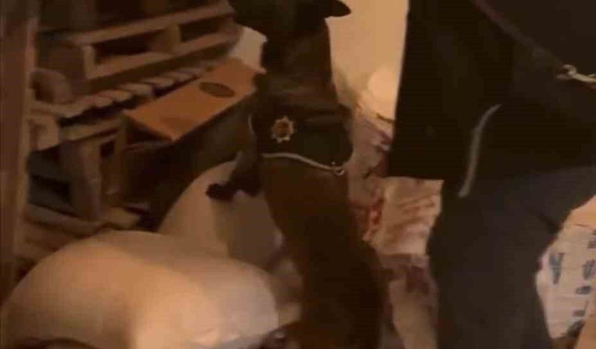 Bingöl'de uyuşturucu taciri tutuklandı