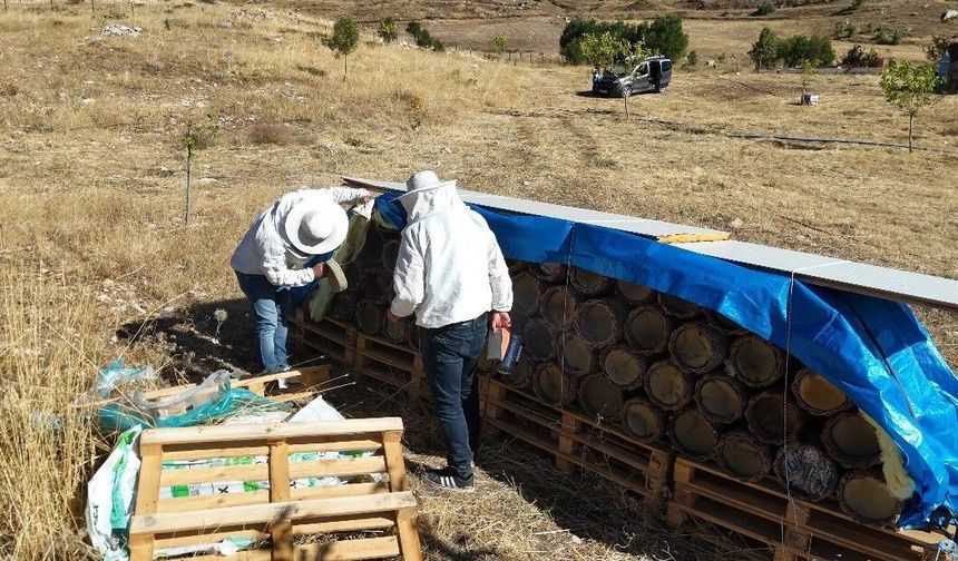 Tunceli'de yüzyıllık arıcılık geleneği yaşatılıyor