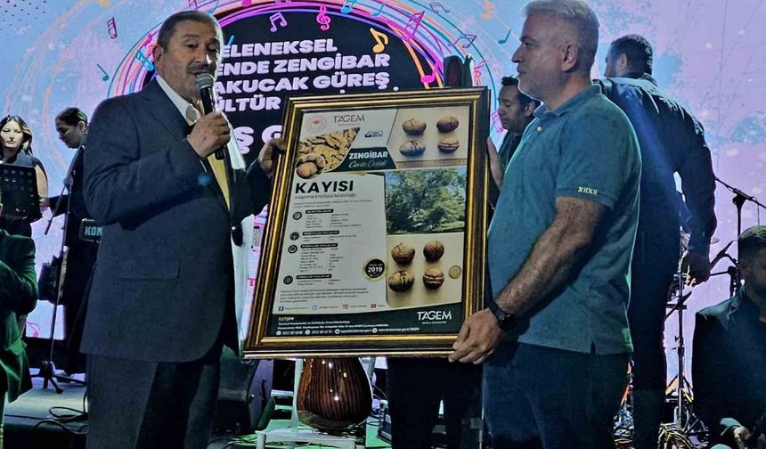 Zengibar Cevizi kalitesiyle dikkati çekiyor.