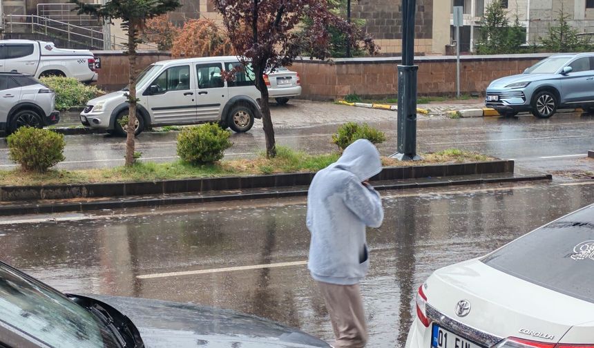 Ahlat'ta yağmur etkili oldu