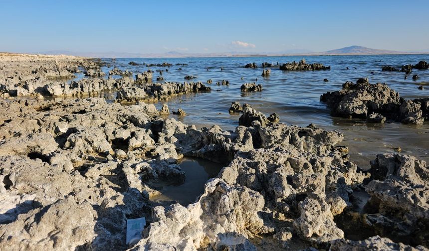 Van Gölü’nde geri çekilme devam ediyor